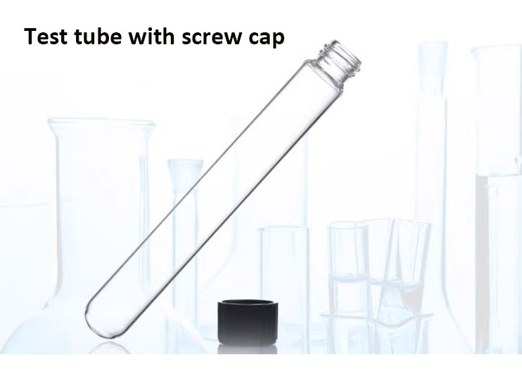 1740914330523739.jpg 英文版本.jpg