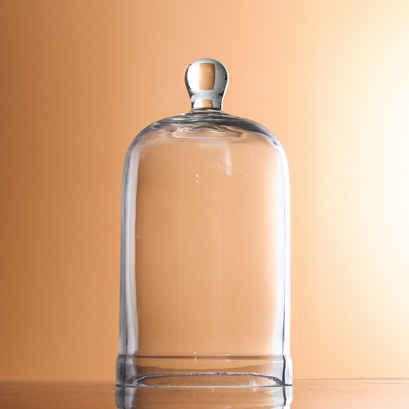     371 Clear bell jar with knob top